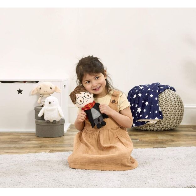 Vaivorykštės pliušinis Haris Poteris 4