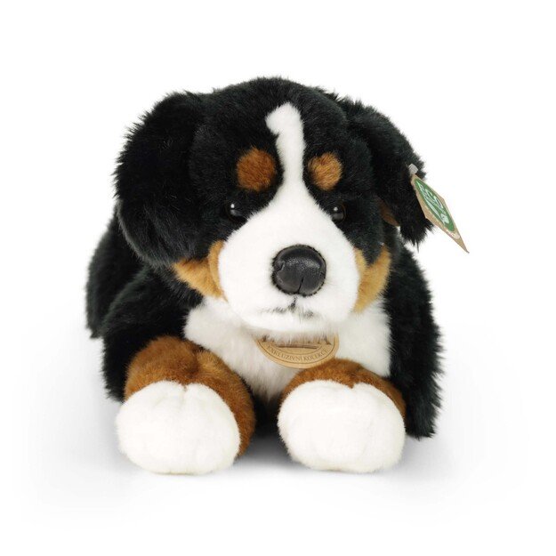 Plush Bernese 44 cm ECO-FRIENDLY 1