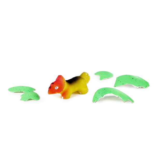 the growing dinosaur in egg, maxi 5