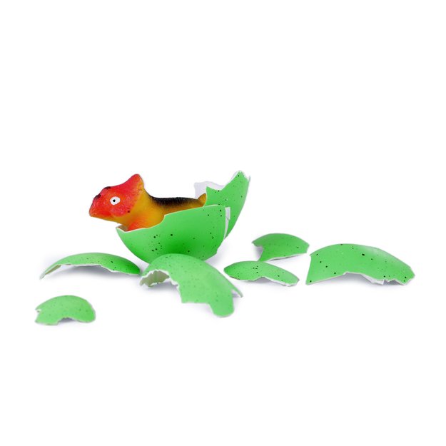 the growing dinosaur in egg, maxi 4
