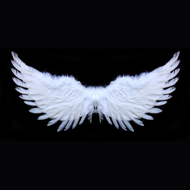 the wings white glittering 1