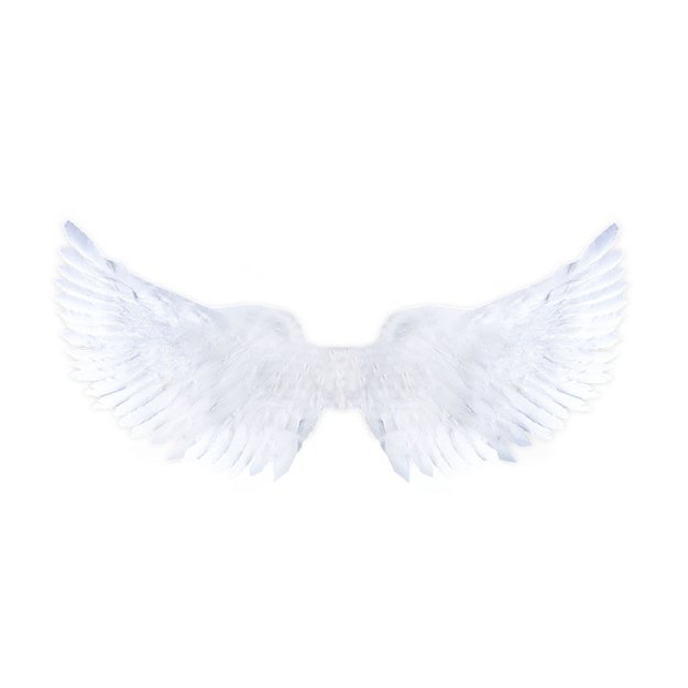 the wings white glittering 3