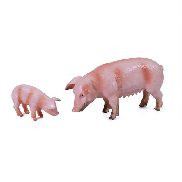 Ūkio gyvūnai 2 viename - kiaulės 2