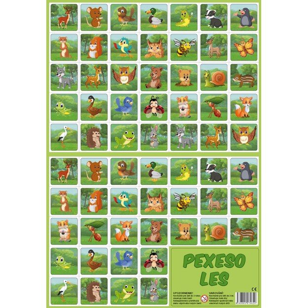 Atminties žaidimų miškas 1