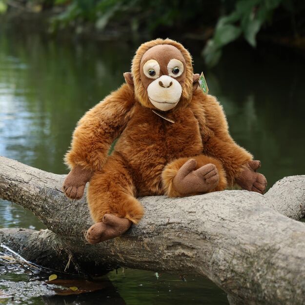Plush monkey orangutan 27 cm ECO-F. 4