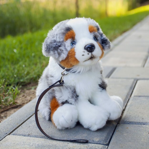 Pliušinis Australijos aviganis 27 cm ECO-F.