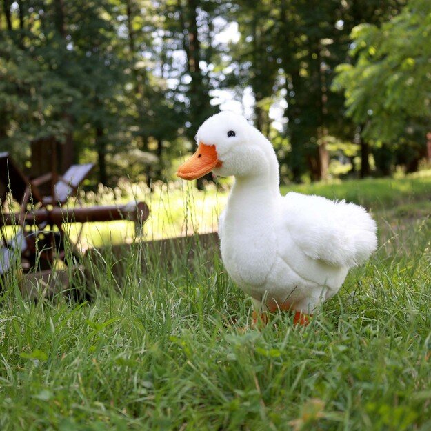 Plush duck 33 cm ECO-FRIENDLY 1