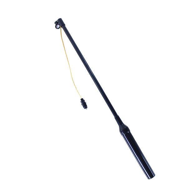 Lantern Halloween skelet 25cm stick 50cm 4