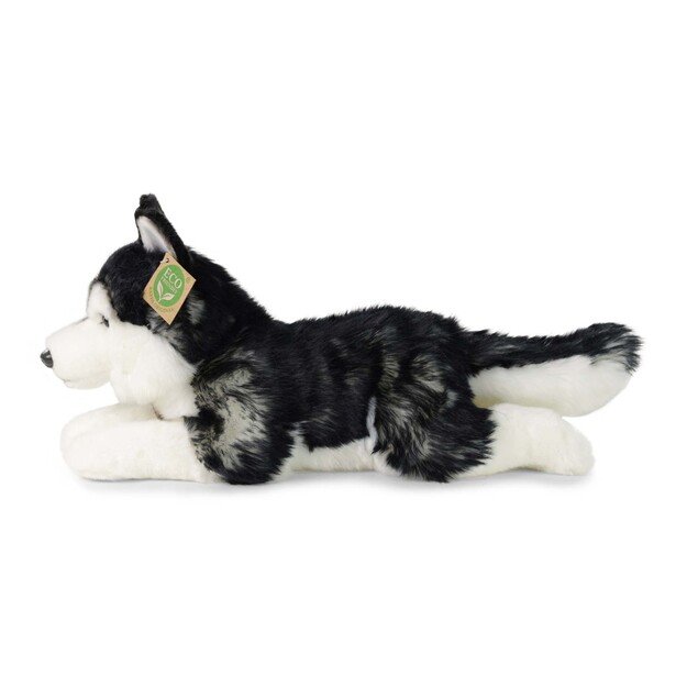 Plush Husky 36 cm ECO-FRIENDLY 3