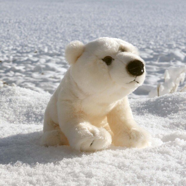 Plush polar bear 22 cm ECO-FRIENDLY 1