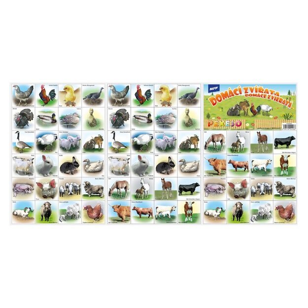 „Pexeso MFP 3xA4“ augintiniai 2