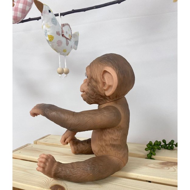 Guca 993 ATGIMĘS BEŽDŽIONĖ - realistiška 5