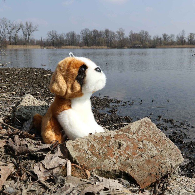 Plush St Bernard 20 cm ECO-FRIENDLY 5
