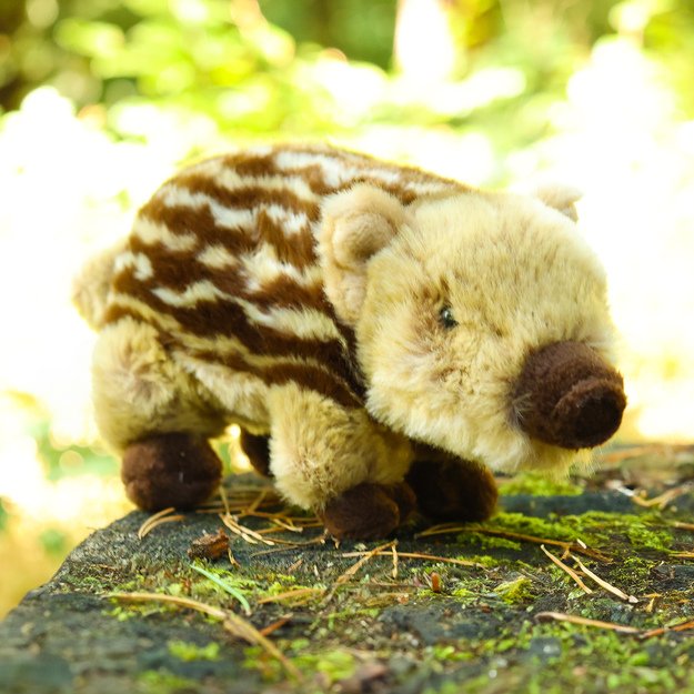 Pliušinis šernas 22 cm EKOLOGIŠKAS 5