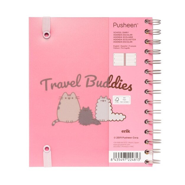 Pusheen – Planner 2019/2020 (15,5 x 19 cm)