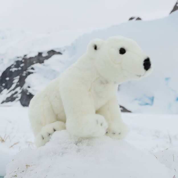 Plush polar bear 30 cm ECO-FRIENDLY