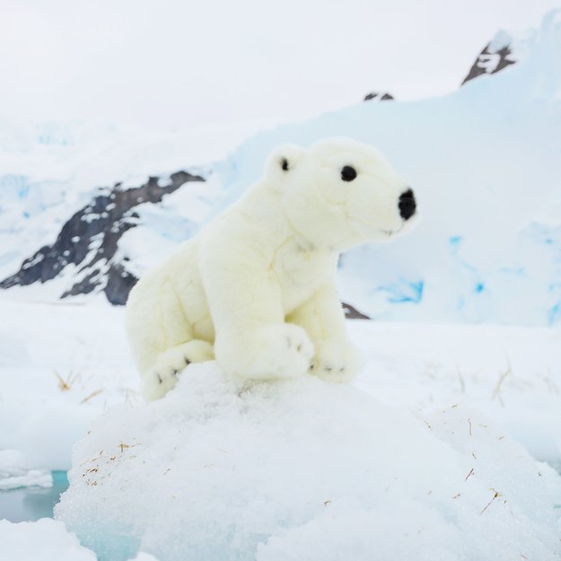 Plush polar bear 30 cm ECO-FRIENDLY