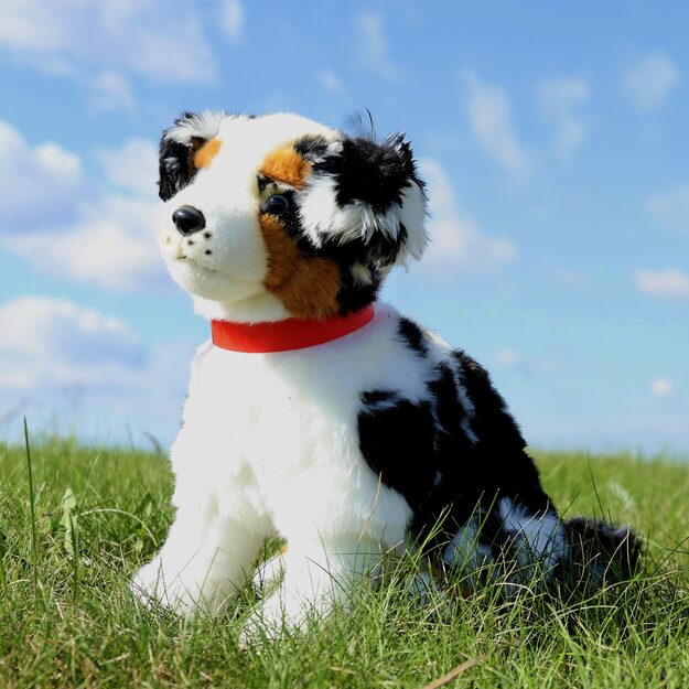 Plush Australian Shepherd 35 cm ECO-FRIENDLY