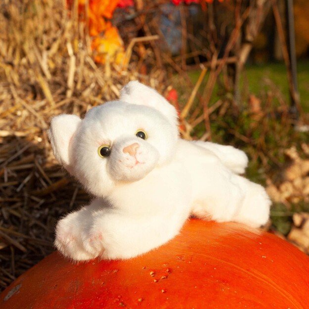 Plush cats assort 17 cm ECO-FRIENDLY