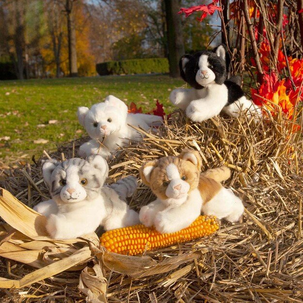 Plush cats assort 17 cm ECO-FRIENDLY