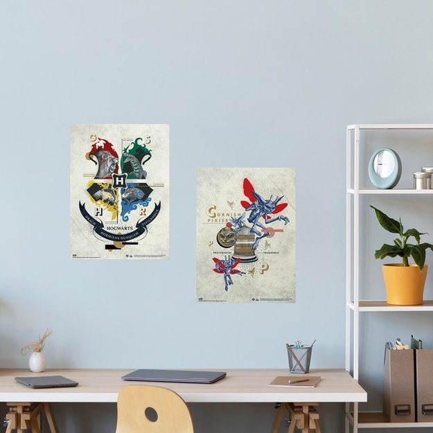 Harry Potter - Set of 2 wall posters (38 x 52 cm) 6