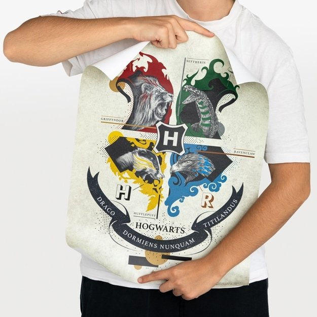 Harry Potter - Set of 2 wall posters (38 x 52 cm) 5