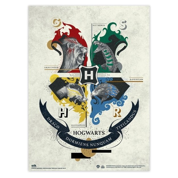 Harry Potter - Set of 2 wall posters (38 x 52 cm) 2