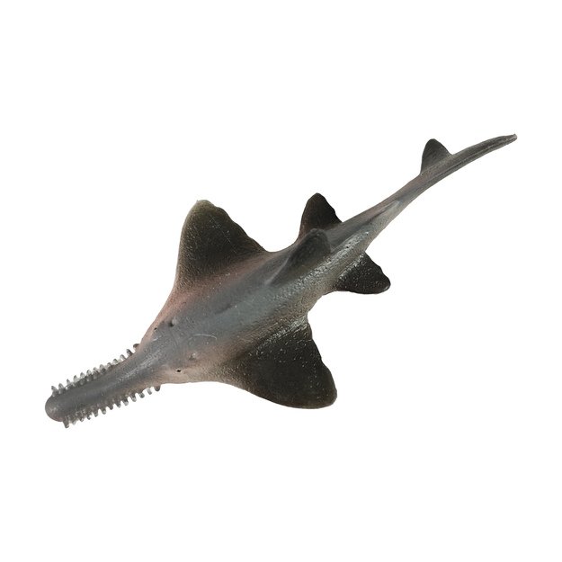 Mořsk&aacute; ryba piloun mnohozub&yacute; 14 cm