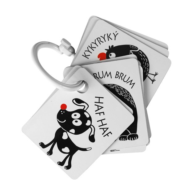 Contrast cards with a color element