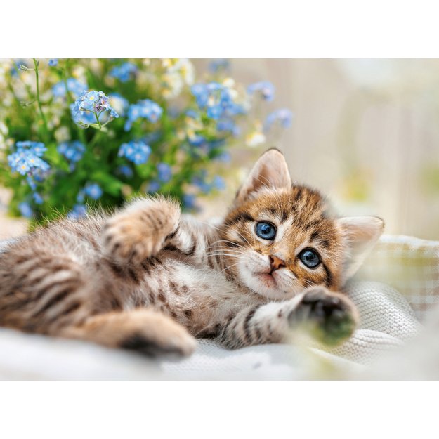 Ravensburger Puzzle 500 Pieces: Playful Kitten