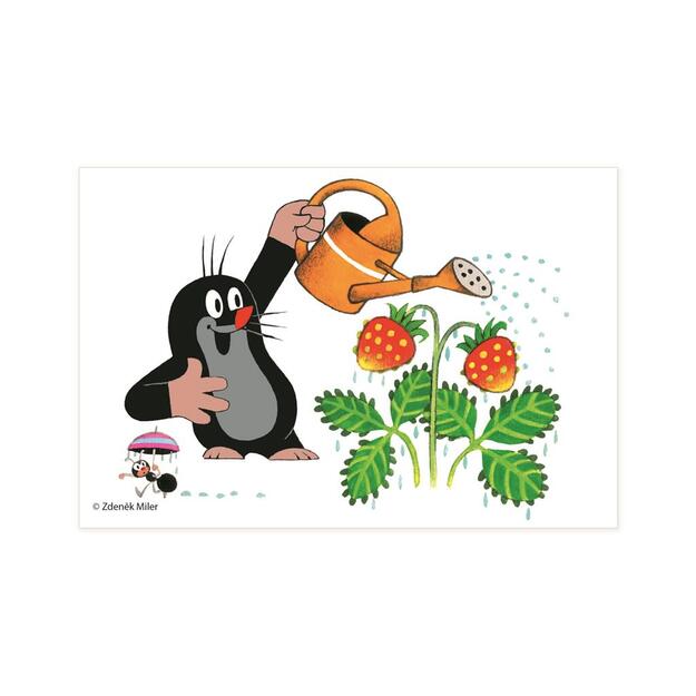 Dino Cube Puzzle 6 pc Little Mole
