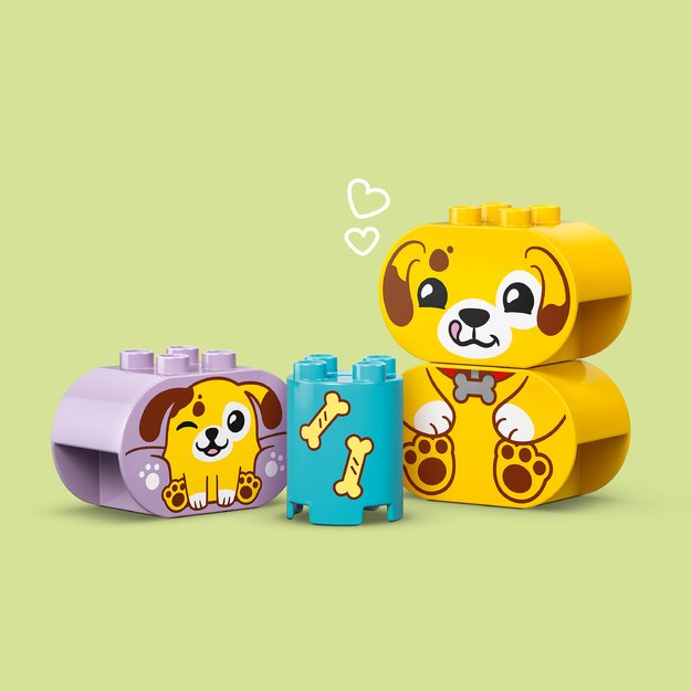 LEGO DUPLO Shape Sorter: Puppy House