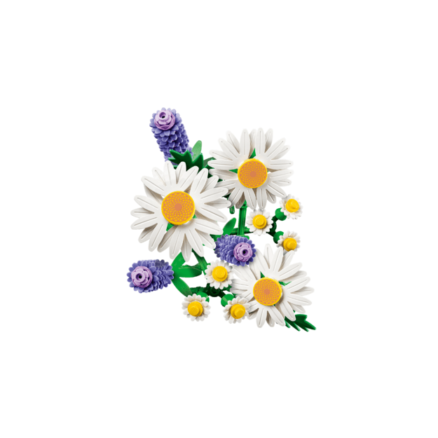 LEGO Botanicals Daisies