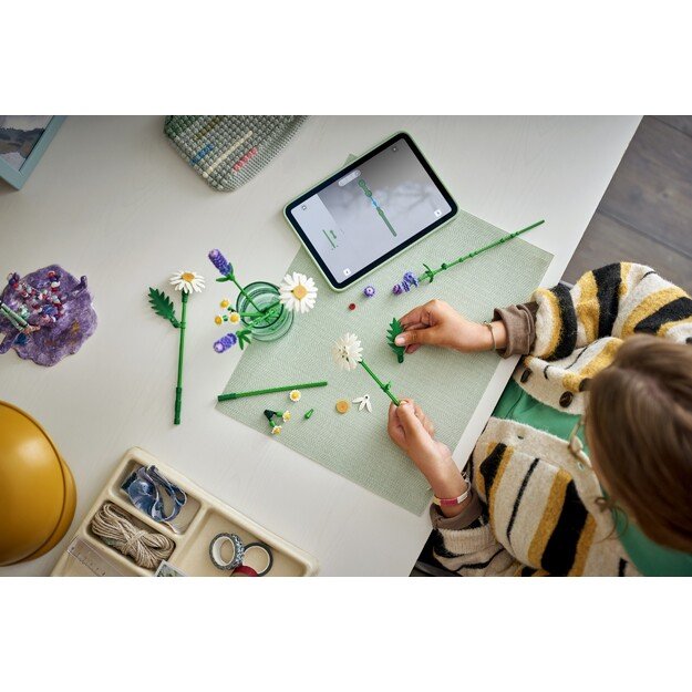 LEGO Botanicals Daisies