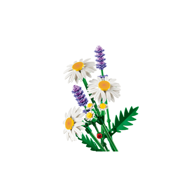LEGO Botanicals Daisies