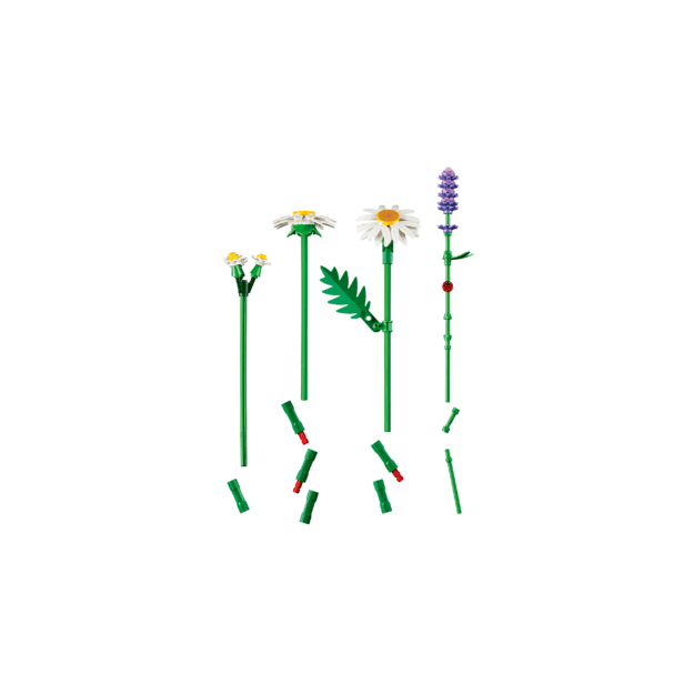 LEGO Botanicals Daisies