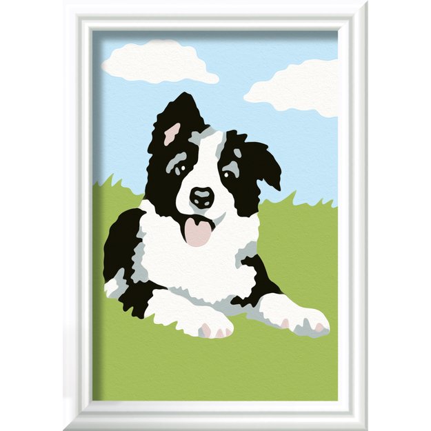 Ravensburger Paint by Numbers Border Collie
