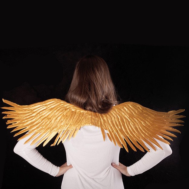 the gold wings 2