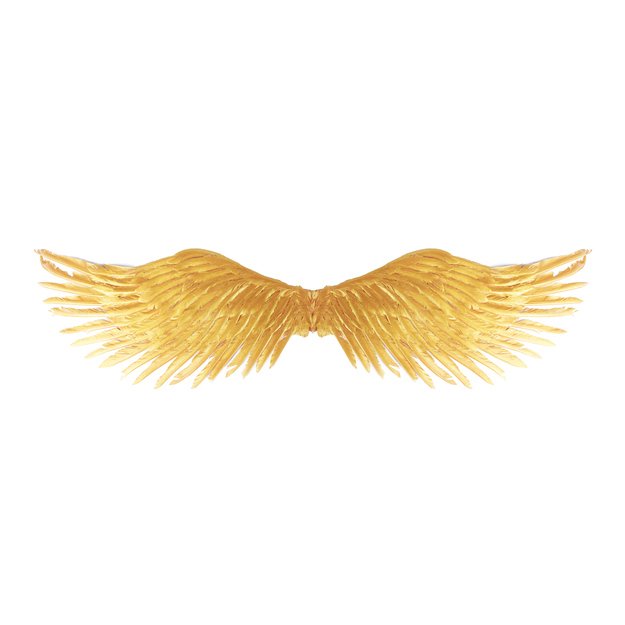 the gold wings 5