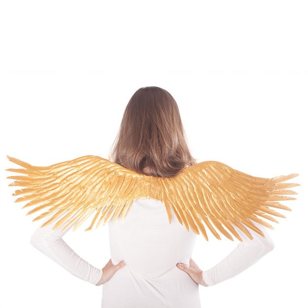 the gold wings 3