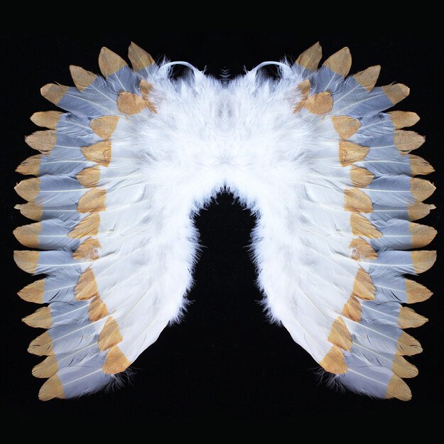 the Angel wings with feathers white-gold 3