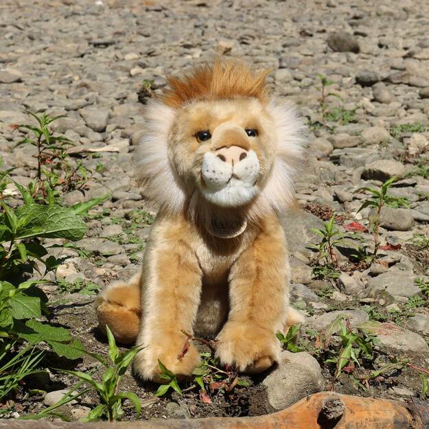 Plush lion 30 cm ECO-FRIENDLY 5