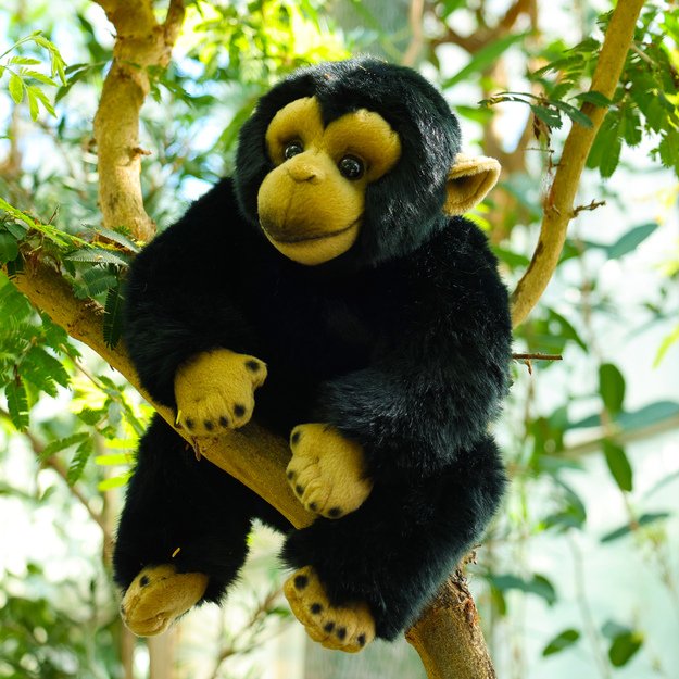 Pliušinis šimpanzė 27 cm EKOLOGIŠKA 4