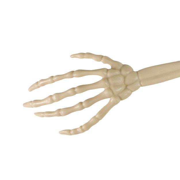 Rankų skeleto dekoracijos 2 vnt. 4