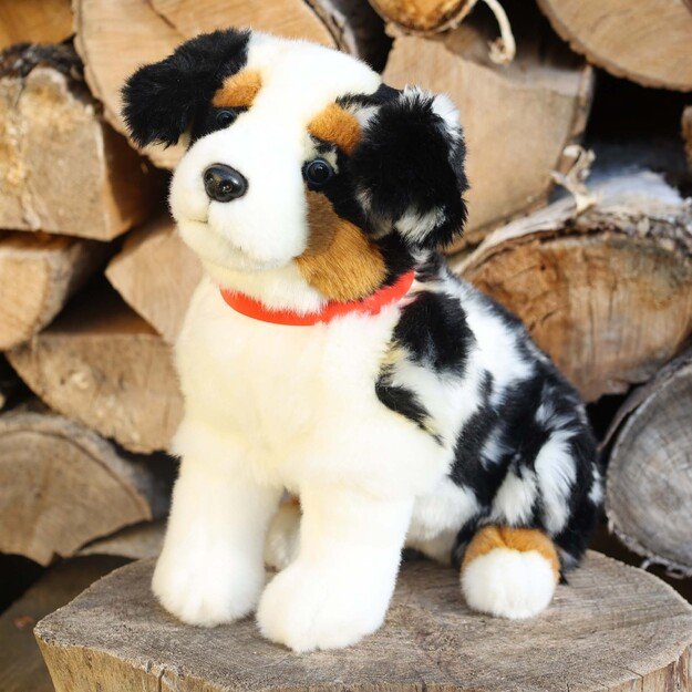 Plush Australian Shepherd 30 cm ECO-FRIENDLY 1