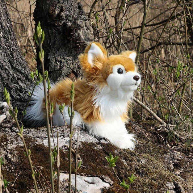 Pliušinis Čihuahua 28 cm EKOLOGIŠKAS 5