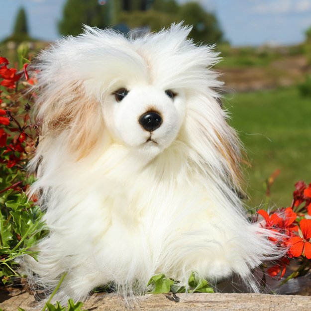 Pliušinis kiniškas šuo 30 cm EKOLOGIŠKAS 5