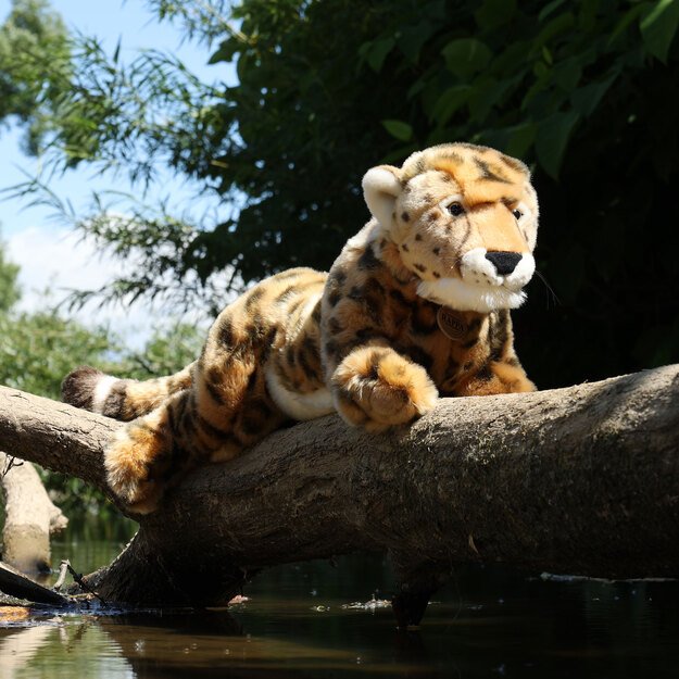 Pliušinis gepardas 48 cm EKOLOGIŠKAS 5