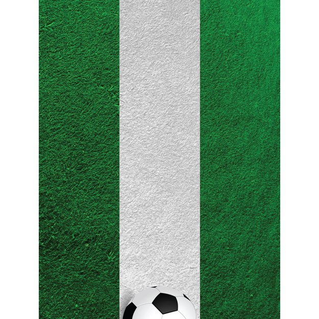 „Nexgen Skins“ su 3D efektu, skirta „iPad 2/3/4“ (futbolo laukas 3D) 2