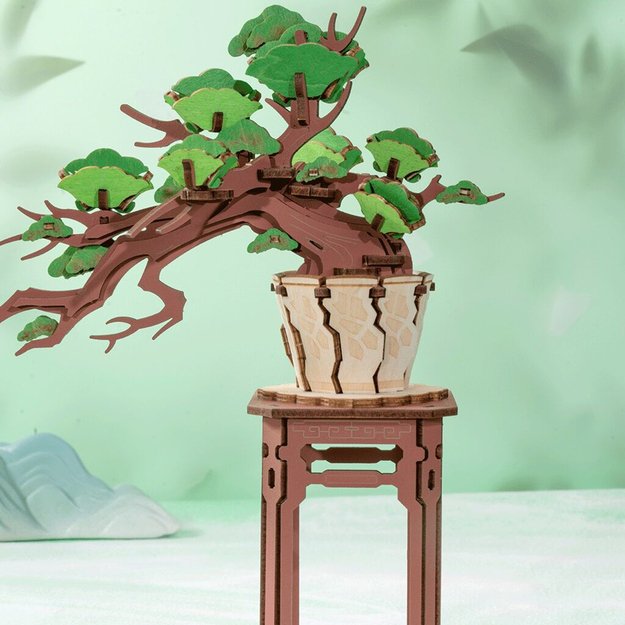 RoboTime 3D medinė pušies dėlionė 4